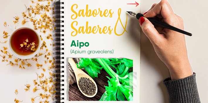 Sabores e saberes: Aipo